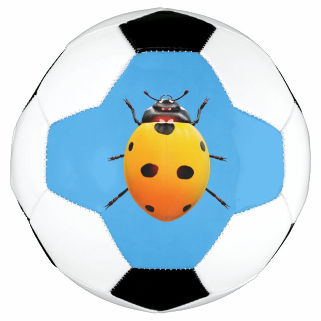 Lucky Ladybug Football (Front)