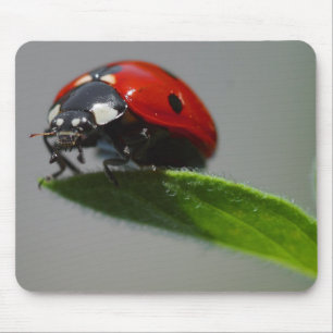 Lucky Ladybug Lovers gifts Mouse Mat