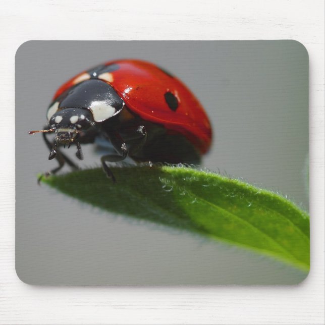 Lucky Ladybug Lovers gifts Mouse Mat (Front)