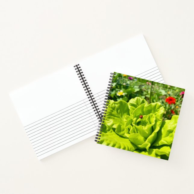 Lucky Ladybug Notebook (Inside)
