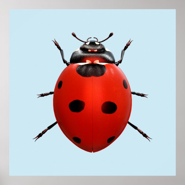 Lucky Ladybug Poster (Front)