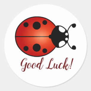 Lucky Ladybug Red Orange Black Ladybird Good Luck Classic Round Sticker