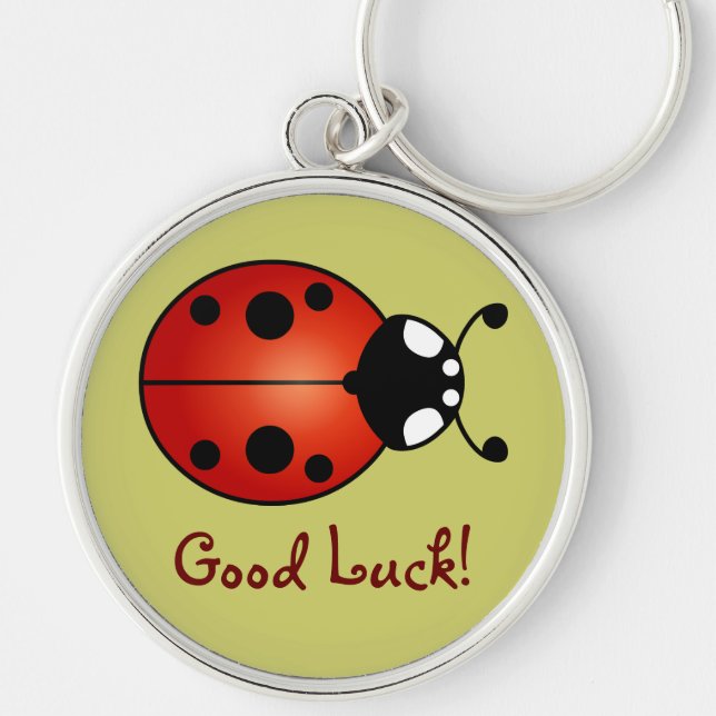 Lucky Ladybug Red Orange Black Ladybird Good Luck Key Ring (Front)