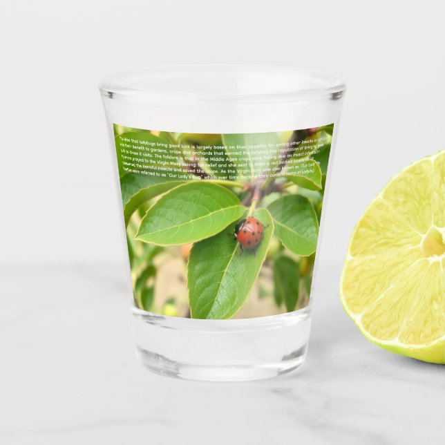 Lucky Ladybug  Shot Glass (Front)