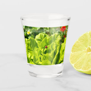 Lucky Ladybug Shot Glass