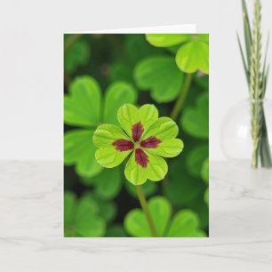 Lucky Leaf Green Maroon Clover Card