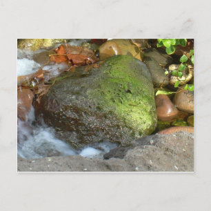 LUCKY LOVE HEART POSTCARD