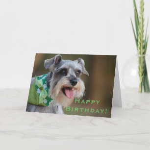 Lucky Miniature Schnauzer Happy Birthday Card