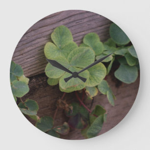Lucky or Determined? Saint Patricks Day Shamrocks Large Clock