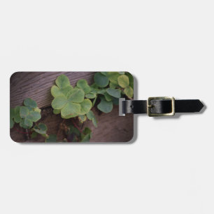 Lucky or Determined? Saint Patricks Day Shamrocks Luggage Tag