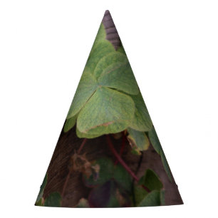 Lucky or Determined? Saint Patricks Day Shamrocks Party Hat