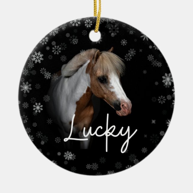 Lucky Ornament (Front)
