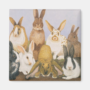 Lucky rabbits magnet