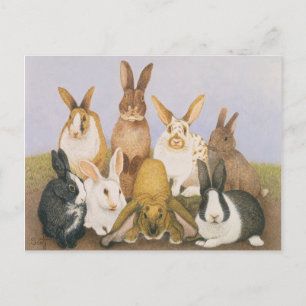 Lucky rabbits postcard
