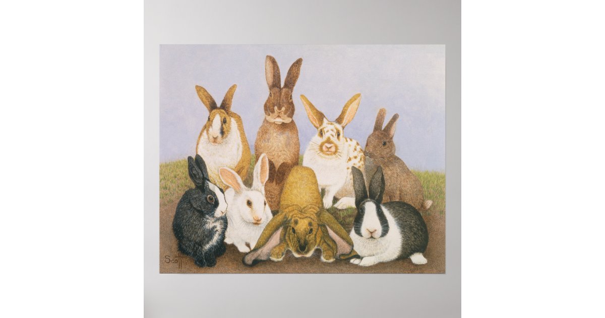 Lucky rabbits poster Zazzle.co.uk