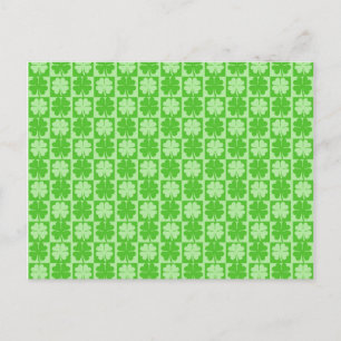 Lucky Shamrock Four Leaf Clover Postcard