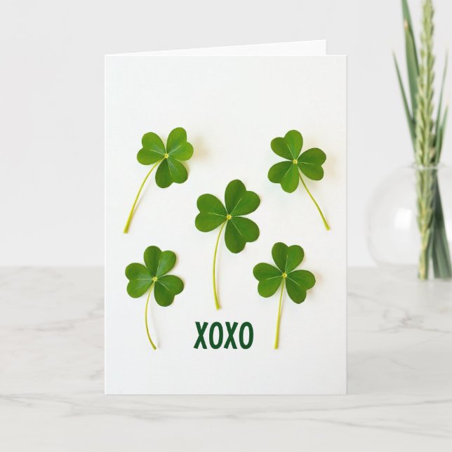 Lucky Shamrocks Xoxo Card (Front)