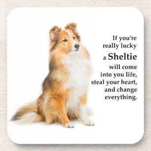 Lucky Sheltie Coaster
