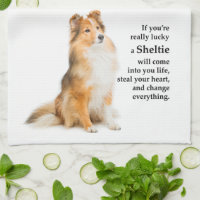 Lucky Sheltie