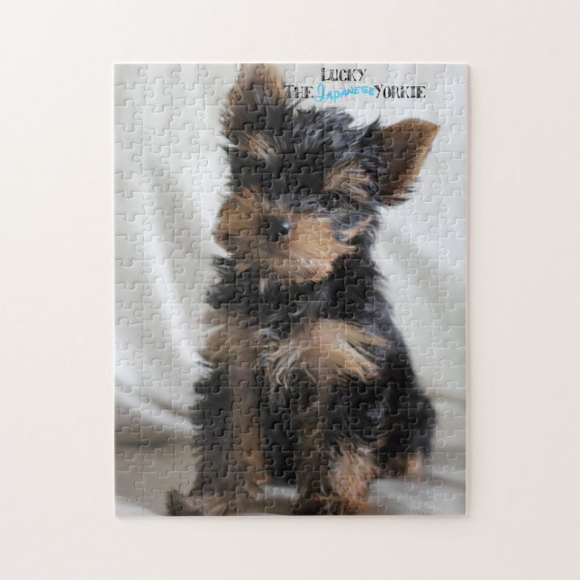 Lucky The Japanese Yorkie 10x14 puzzle at 3 months (Vertical)