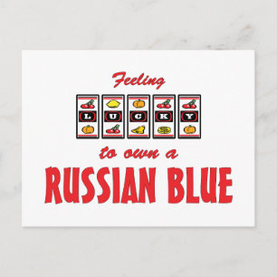 Lucky to Own a Russian Blue Fun Cat Design Postcard