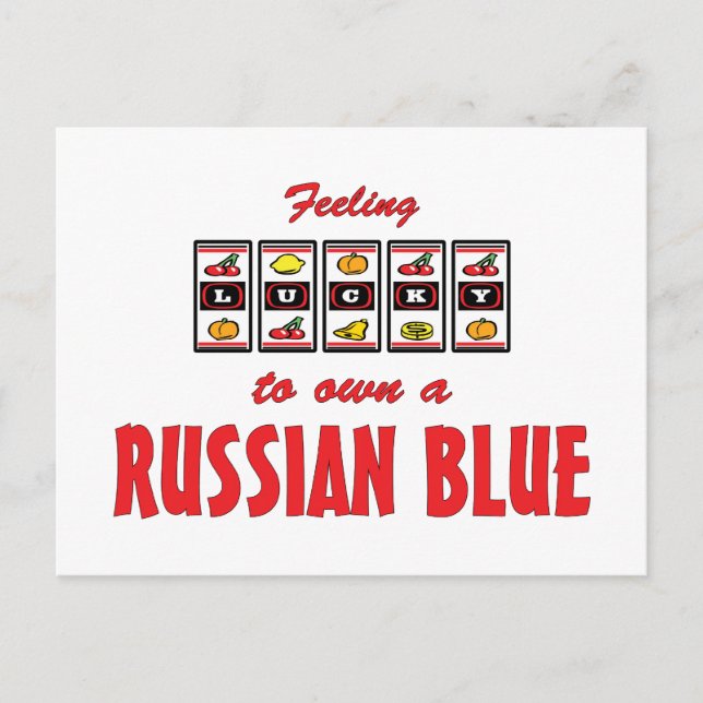 Lucky to Own a Russian Blue Fun Cat Design Postcard (Front)