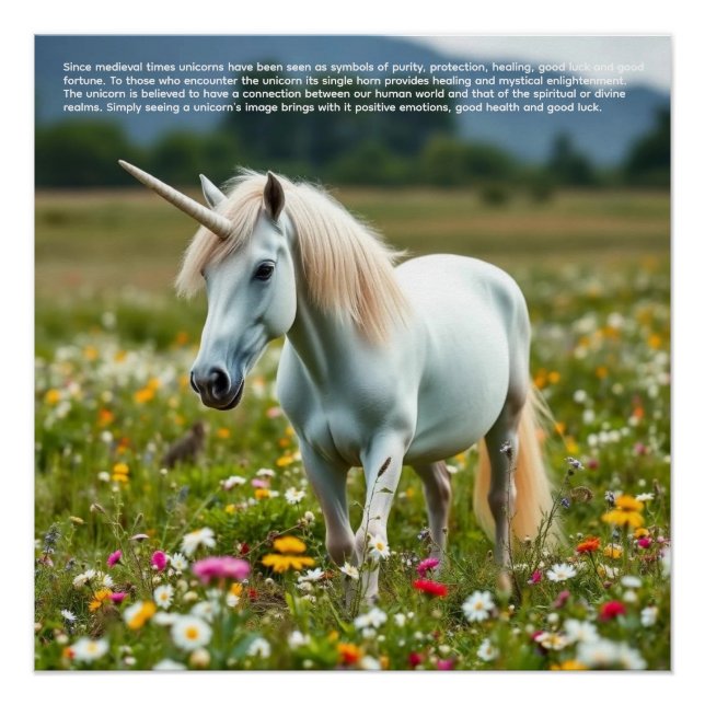 Lucky Unicorn Poster (Front)