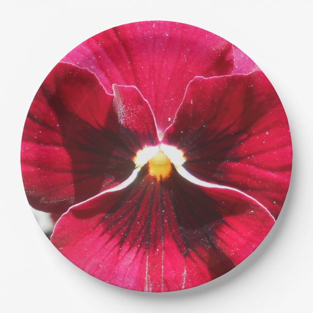 Lucrezia Paper Plate (Front)