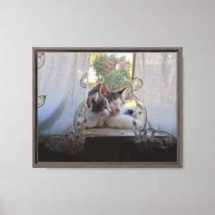 Lucy and Tom Cat in the old kitchen window Canvas Print