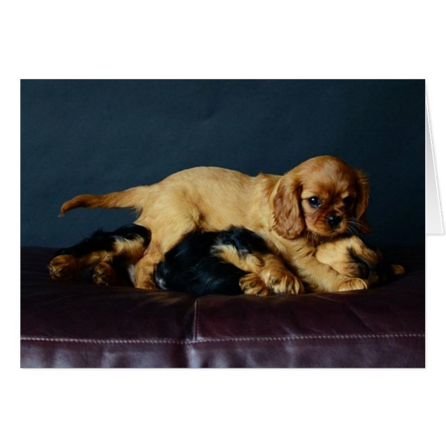 Lucy beating up her Brother (Front Horizontal)