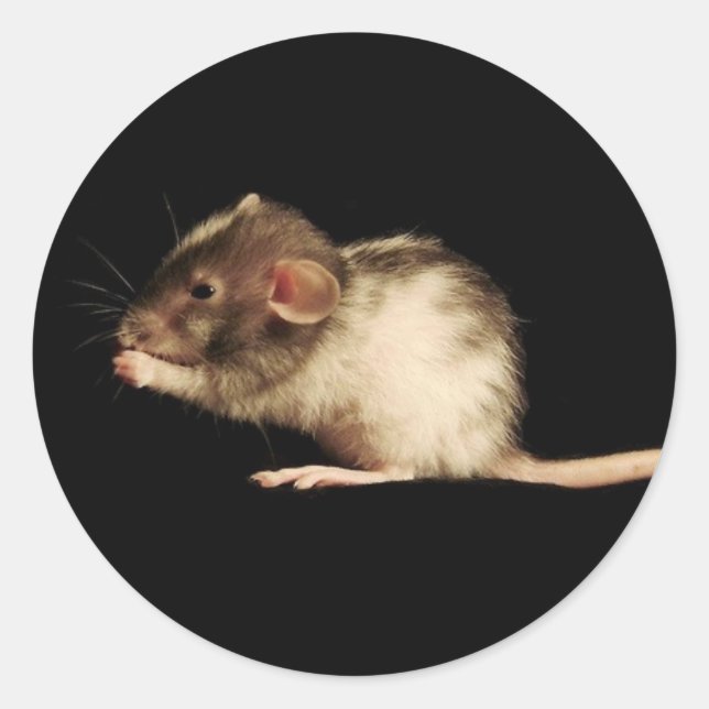 lucy classic round sticker (Front)