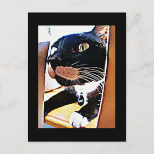 Lucy Closeup Painting Postcard