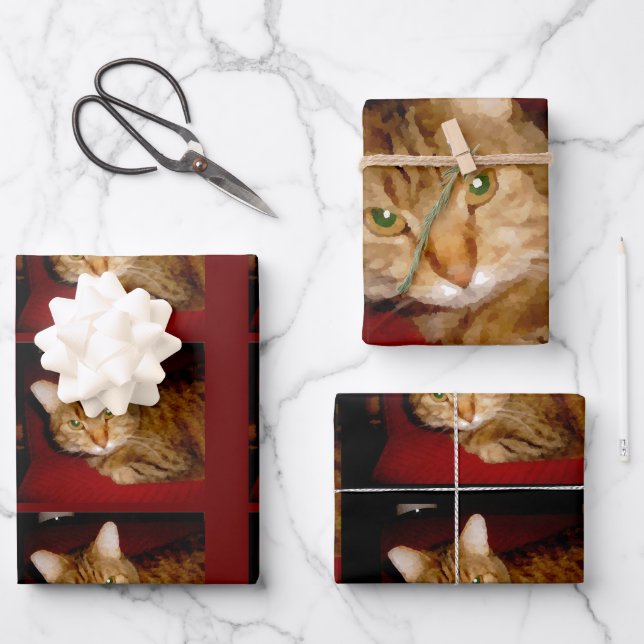 Lucy Kitty Wrapping Paper Sheet Set (Front)