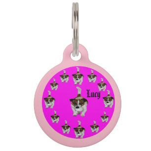 Lucy The Fox Terrier, Pet Tag