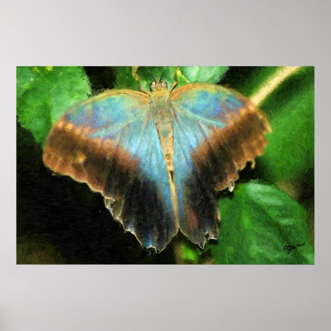 LUCY'S BUTTERFLY PRINT (Front)