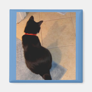 Lucy's Shadow Magnet