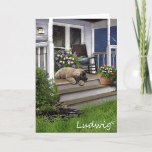 Ludwig the Leonberger Puppy Greeting Card