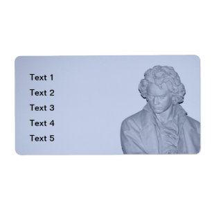 Ludwig van Beethoven