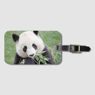 Luggage giant panda 3 . luggage tag