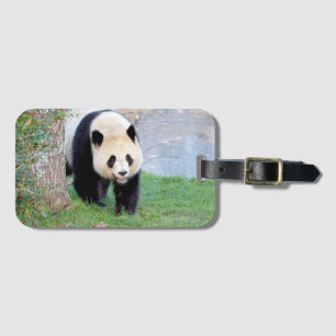 Luggage giant panda 5 . luggage tag