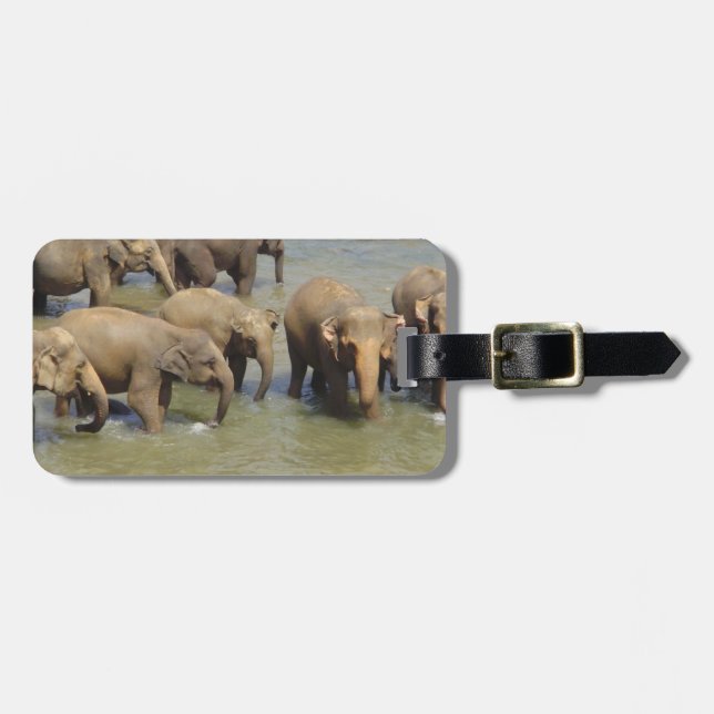 Luggage Tag - Customised (Front Horizontal)
