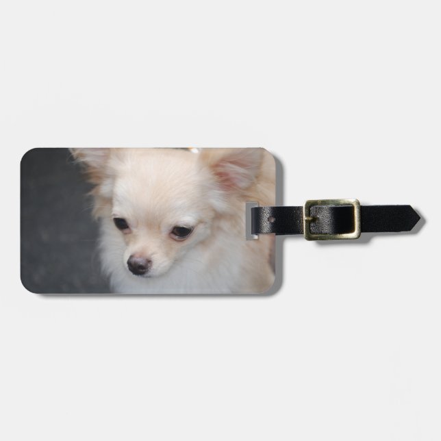 Luggage Tag - Customised (Front Horizontal)