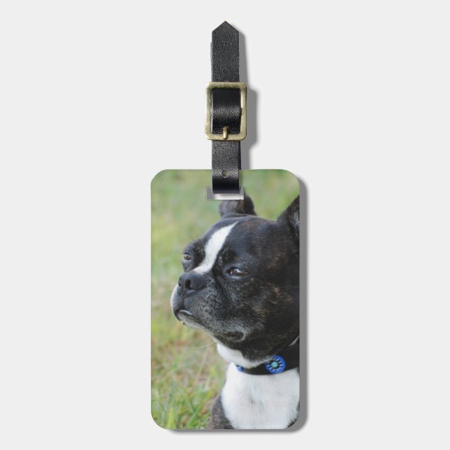 Luggage Tag - Customised (Front Vertical)