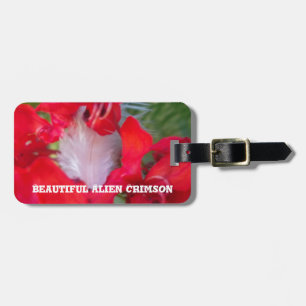 Luggage Tag - Customised