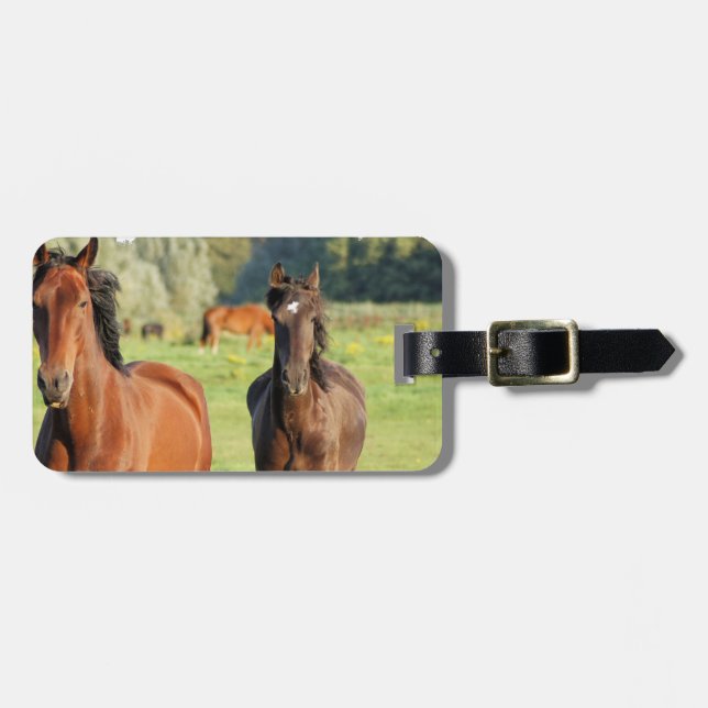 Luggage Tag - Customised (Front Horizontal)