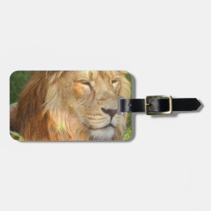 Luggage Tag - Customised