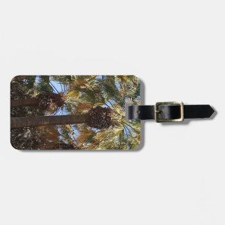 Luggage Tag Palm Trees