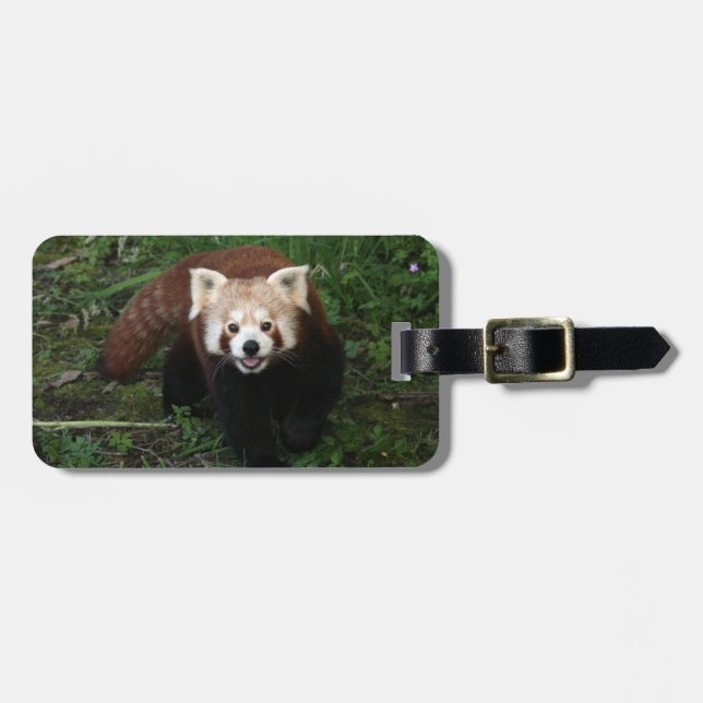 Luggage tag - red panda (Front Horizontal)