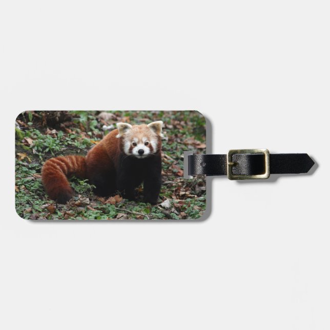 Luggage tag - red panda 3 (Front Horizontal)
