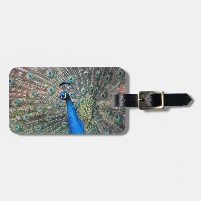 Luggage Tag w/ leather strap with peacock (Front Horizontal)